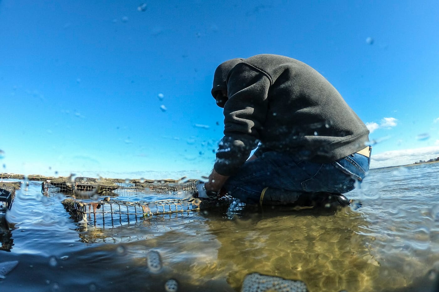 Les Hemmila's Barnstable Sea Farms, an oyster farm in Barnstable Harbor, in October 2019