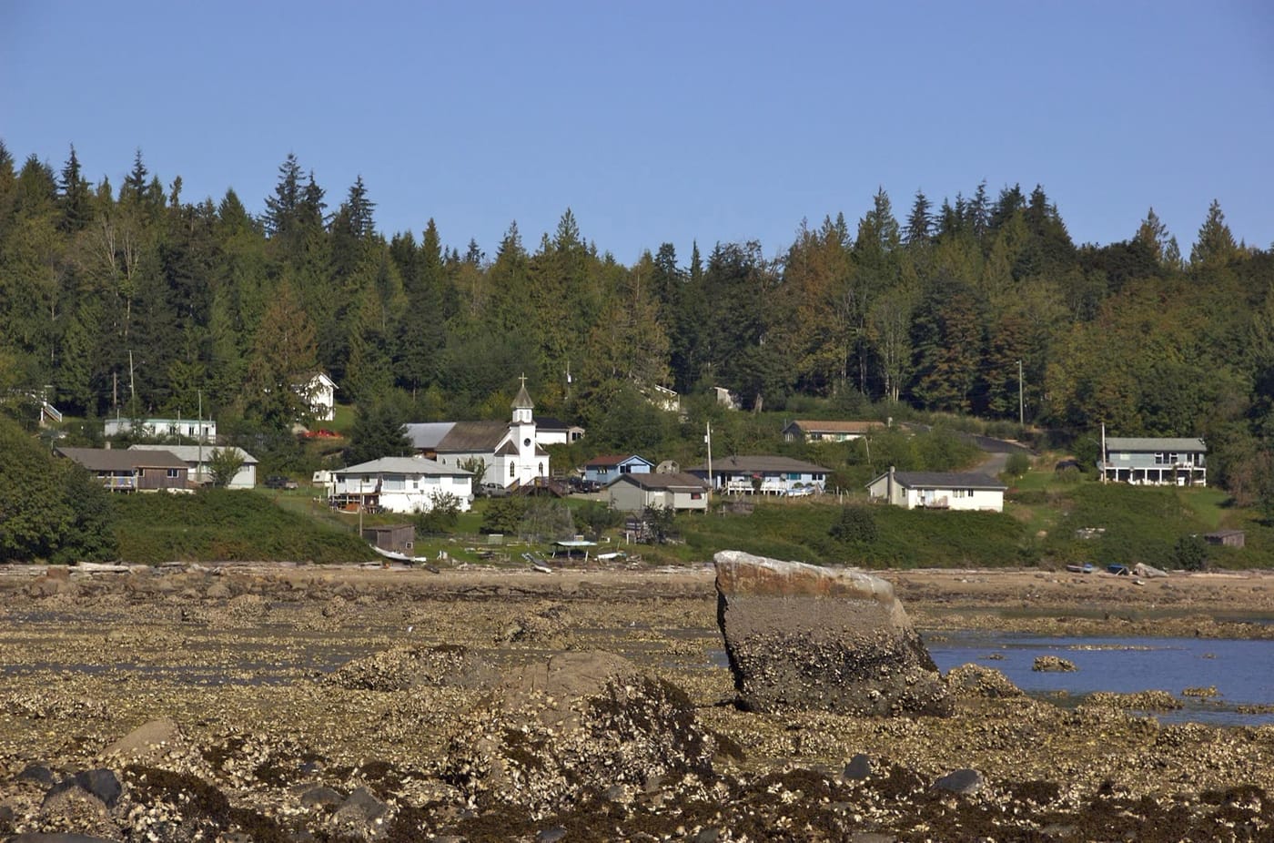 Squirrel Cove on Cortes Island, where the photographer found people harvesting oysters on the beach