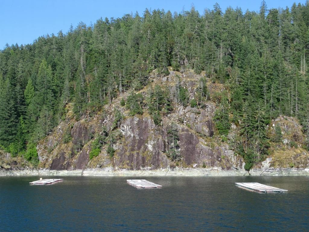 Oyster farms off Read Island, British Columbia
