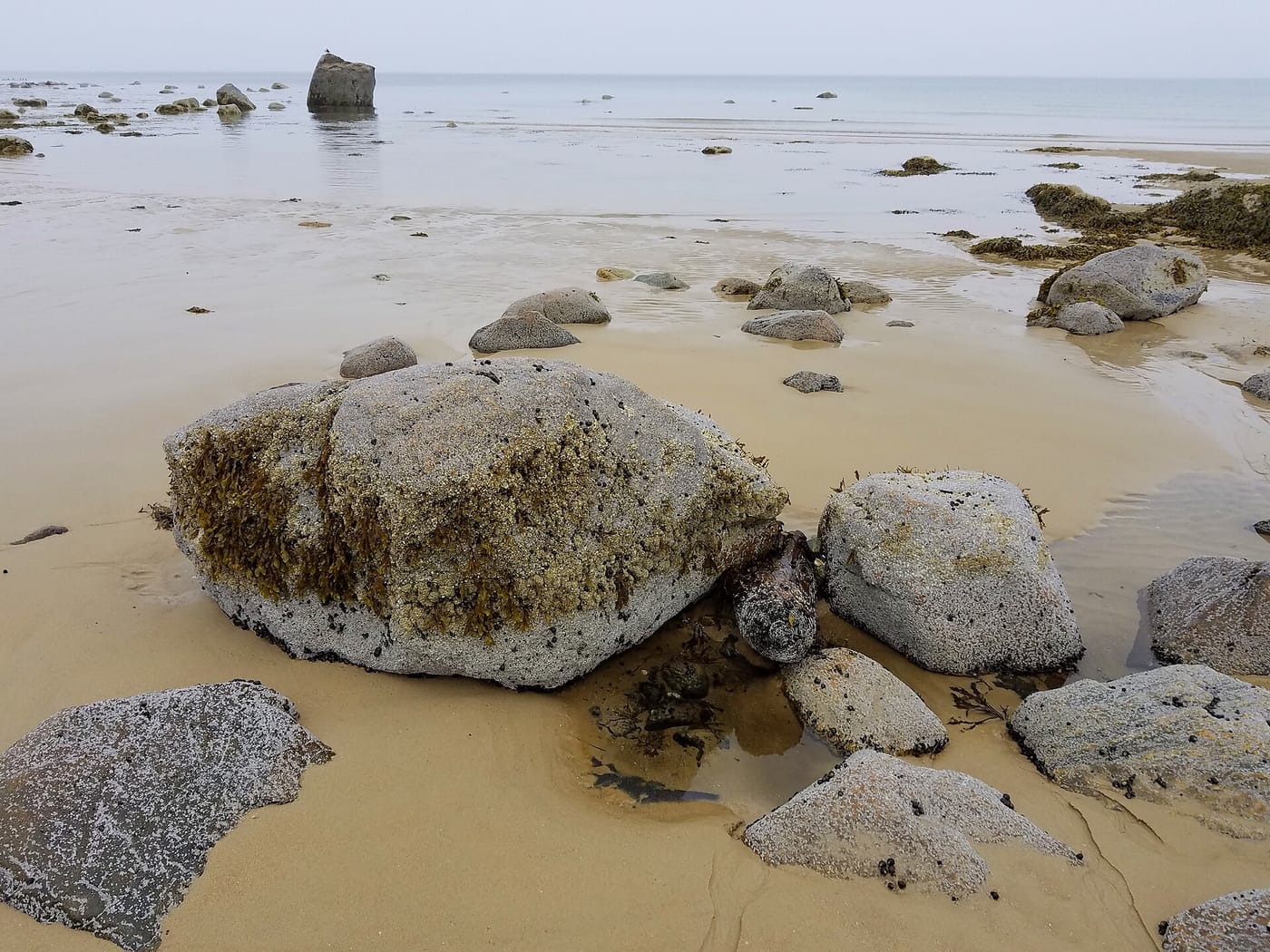 The shore at East Dennis, Massachusetts, on Cape Cod Bay