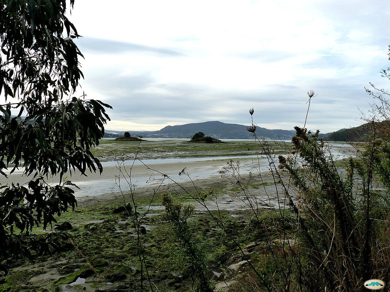 The Alvedosas islets at Arcade, at the head of the Ría de Vigo, at low tide