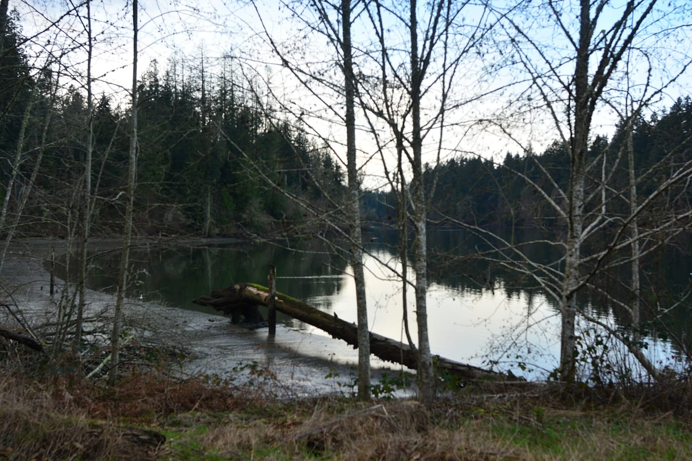 Woodard Bay, an arm of Henderson Inlet in Thurston County, Washington