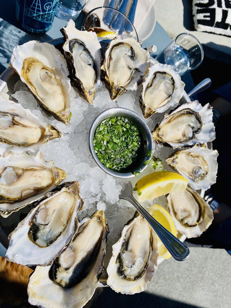 Pacific oysters (Crassostrea gigas), the species grown at Paimpol