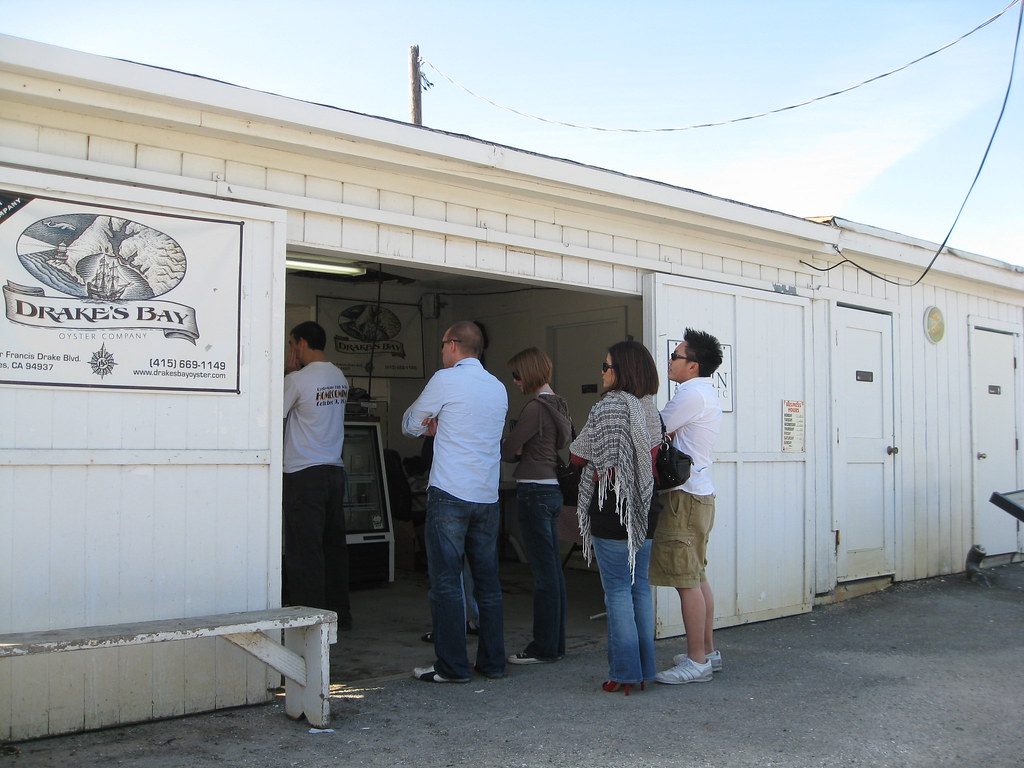 Oyster farming in France