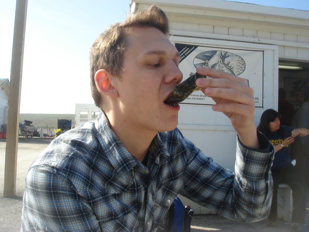 Eating oysters at Drakes Bay Oyster Farm, California