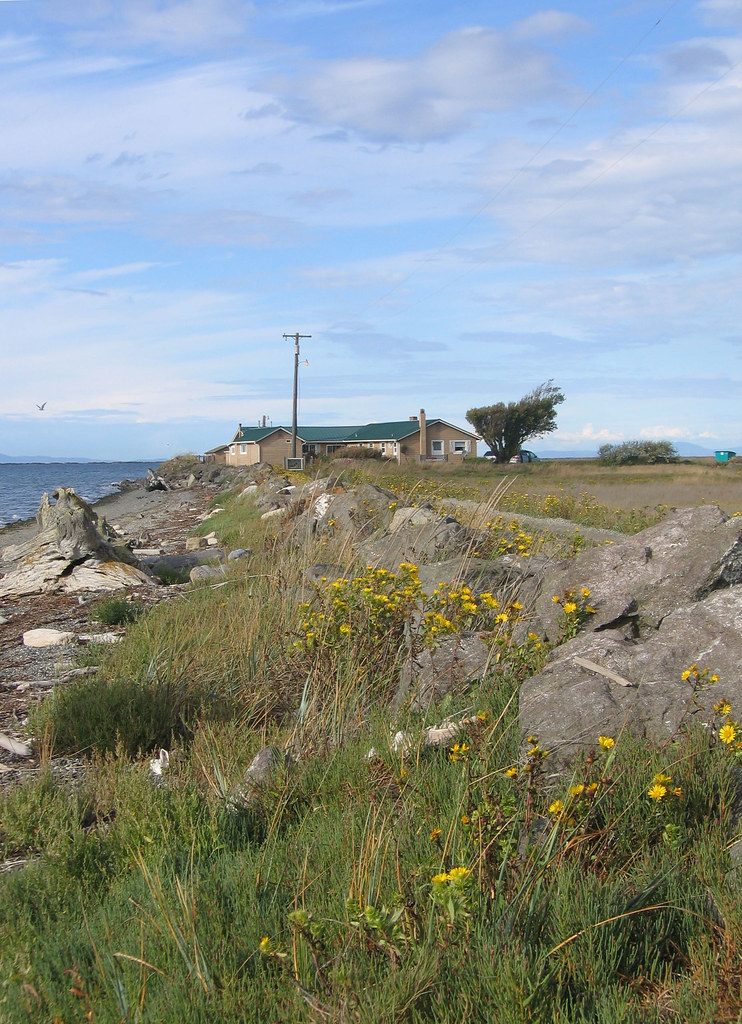Dungeness Oyster Farm