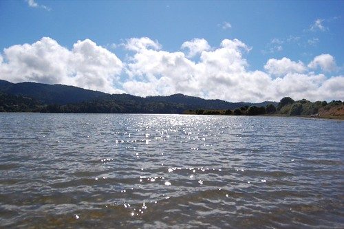 An oyster farm